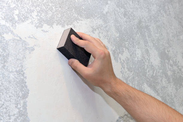 Professional Mold Removal in Harlan, KY