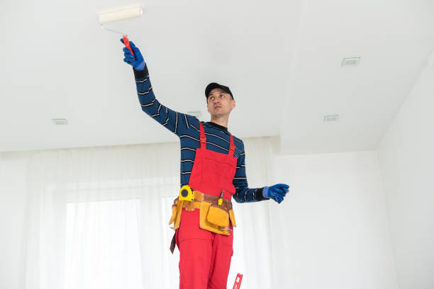 Best Water Damage & Mold Remediation  in Harlan, KY