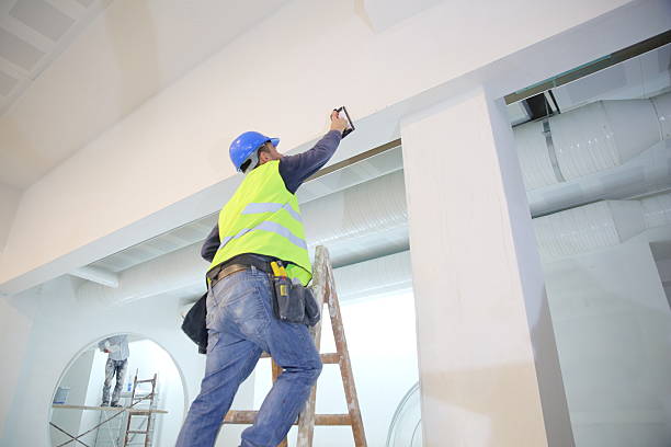 Best Biohazard Mold Removal  in Harlan, KY