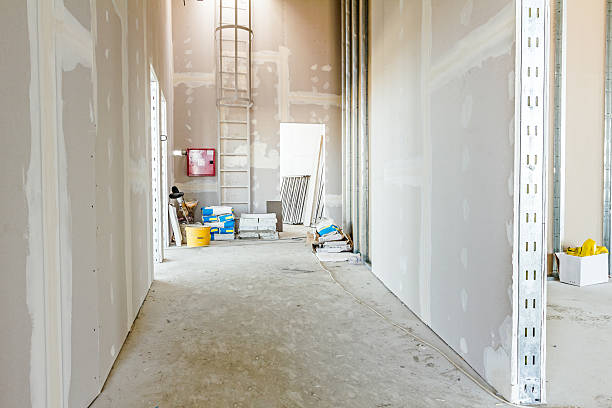 Best Environmental Consulting for Mold Prevention  in Harlan, KY
